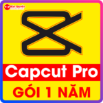 Tài Khoản CapCut Pro – Gói 6 Tháng – Gói 1 Năm Tài Khoản CapCut Pro – Gói 6 Tháng – Gói 1 Năm